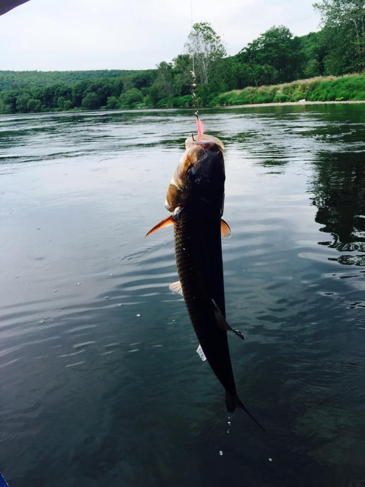 Lake Wallenpaupack Fishing / Legends Outdoors Lake Wallenpaupack and