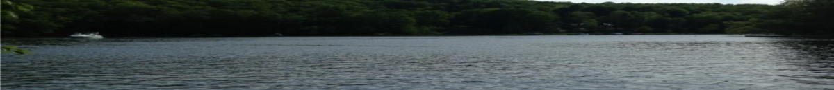 Serene lake view with calm waters and a tree-lined shore under a blue sky.