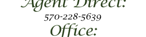 Logo and contact info for Chant Realtors with office address.